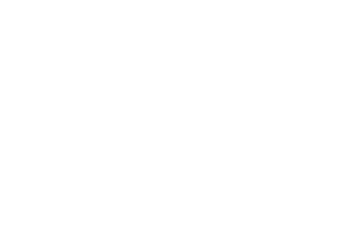 Balduccidesign Logo